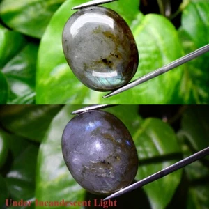 Big! 43.65ct Oval Cabochon Natural Rainbow With Luster Labradorite Gemstone - Picture 1 of 6