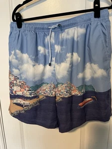 Bañador Peter Millar Para Hombre XL Azul Mar Estampado Camino a Riviera Pantalones Cortos - Imagen 1 de 10