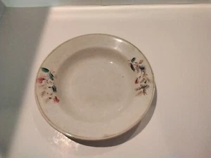 Cartwright Bros. Semi- Granite Stoneware  9-1/4" Floral Bowl Vintage - Picture 1 of 6