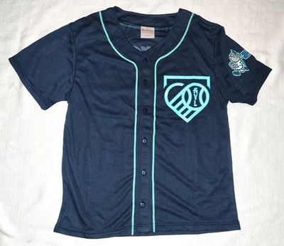 NUEVA Camiseta de Béisbol Asheville Tourists Love Asheville SGA Juvenil XL 2025 ¡GUAU! Foto 1 de 4