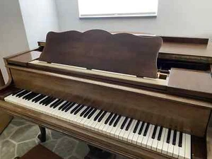 seltener Berdux Flügel - Bild 1 von 17