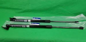 GENUINE HYUNDAI I LOAD VAN TQ SERIES TAILGATE LIFTER SET (LH + RH) - Picture 1 of 3