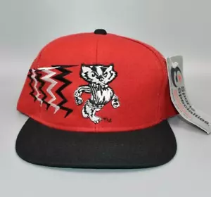 Cappello snapback vintage Wisconsin Badgers Sports Specialties The Motion - Nuovo con etichette - Foto 1 di 7