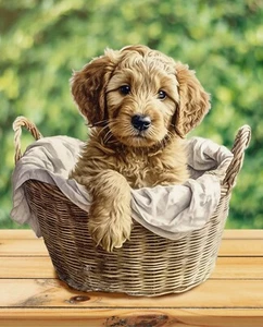 Baby Golden Doodle ~ 35" x 44" ~ David Textiles Fabric Panel - Picture 1 of 1