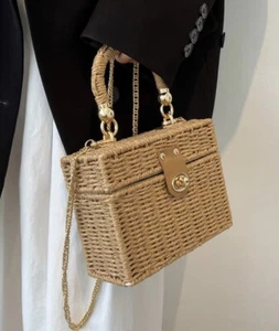 Straw Chain Handle Case crossbody - Picture 1 of 4