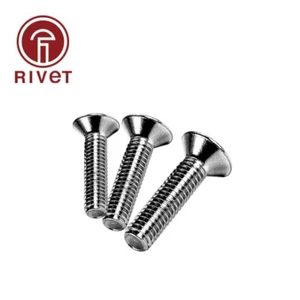 Cabeza de llave Allen de acero inoxidable Tornillo plano Enchufe hexagonal Tornillo de cabeza plana avellanada - Imagen 1 de 6