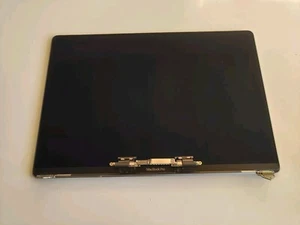 Ecran Macbook Pro 16" 2019 A2141 - Ecran - Assembly - Gris - Photo 1/7