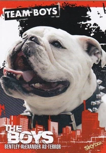 2025 Skybox-UPPER DECK I ragazzi stagione 1&2 "RED PARALLEL" #C-32 TERROR - Foto 1 di 2