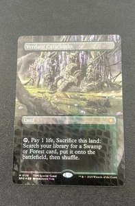 Verdant Catacombs Boarderless Dragonscale Foil 118 Tarkir Dragonstorm SPG MTG - Picture 1 of 3