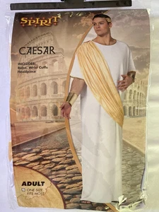 Caesar Erwachsene Halloween Kostüm mit Römer Sandalen - Einheitsgröße von Spirit Halloween - Bild 1 von 6