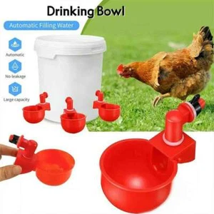 6Pcs Chicken Automatic Watering Cup Drinker Waterer for Duck Quail Hen Poultry - Picture 1 of 12