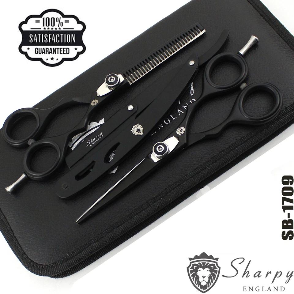Professional Salon Hairdressing Scissors Set Barber Hair Cutting Thinning Shears - Image 1 of 4