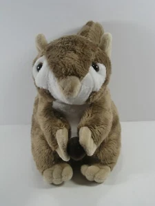 Juguete de peluche de 9" SARREL HOLDING NUT USADO EN EXCELENTE ESTADO por Soft Buddies PELUCHE - Imagen 1 de 8