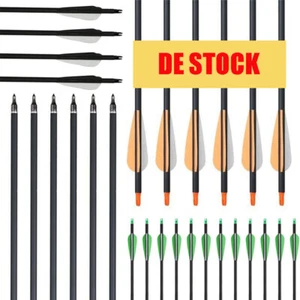 12x 30" Jagdpfeile Carbonpfeile Bogenschießen SP500 für Recurve/Compound Bogen - Bild 1 von 41