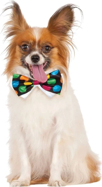 Laço Rubie's Pet Shop fantasia para animais de estimação bolinhas - Imagem 1 de 1