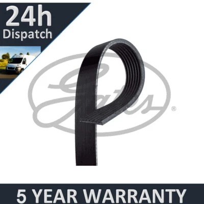 Gates V-Ribbed Belts Fits Renault Twingo Smart Forfour Fortwo 5Yr Warranty G3714 - Изображение 1 из 4