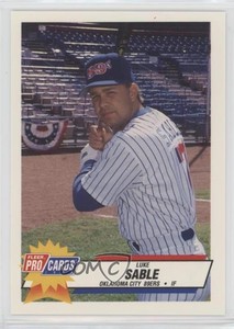 1993 Fleer ProCards Minor League Luke Sable #1634