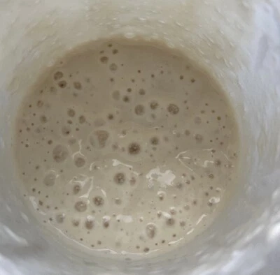 Arrancador de masa madre fresca orgánica súper activo para más de 100 años Foto 1 de 4