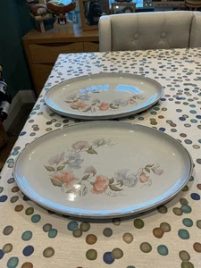 Denby Zugabe ovale Platte Teller 33 cm Länge.24 cm Breite Steinzeug x 2 brandneu - Bild 1 von 15