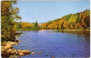 Autumn Scene In Canada, Vintage 1971 Chrome Postcard - Picture 1 of 2