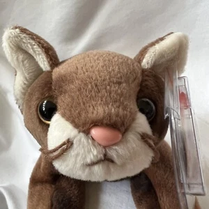 TY Beanie Baby Collection Retired 1997 Pounce The Cat Covered Tag PE #4122  - Picture 1 of 11