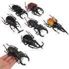 Symulacyjne zabawki chrząszcza Specjalny realistyczny model owady zabawka pomoce dydaktyczne j l'KX