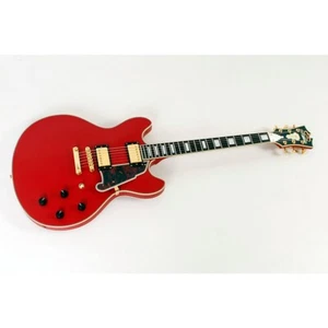 D'Angelico Deluxe LE DC Non F-Hole Semi-Hollow Guitar Cherry,Tort grd 1942425 OB - Picture 1 of 7