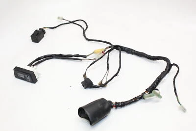 Kawasaki Concours 1000 Zg1000a 2001 faros velocímetros cableado arnés cableado Foto 1 de 4