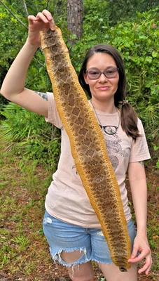 Rattlesnake skin hide pelt Leather Hide Eastern Diamond Back Costume Crafts - Image 1 of 4