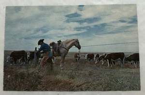 Recinzioni da cowboy. Cartolina Kansas (D2) - Foto 1 di 2