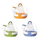 Parrots with Stand Bag Small Case Clear Window