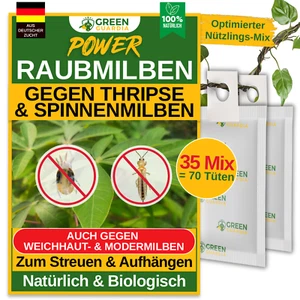 Power Raubmilben gegen Thripse & Spinnmilben,35Mix(70Tüten), Pflanzen & Cannabis - Bild 1 von 7