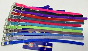 New Hamilton S/T Nylon Collar for XSm to Sm Dogs Choose Color 12" x 3/8" - Picture 1 of 2