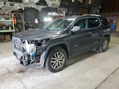 (LOCAL PICKUP ONLY) Passenger Right Rear Side Door Fits 17-23 ACADIA 2064224 Foto 1 de 4