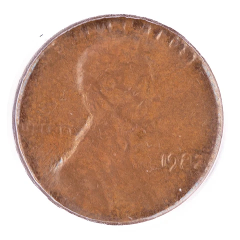 ERROR 1982 Lincoln Cent ANACS MS60 BRN Struck Thru Late Stage Capped Die 1c Cover