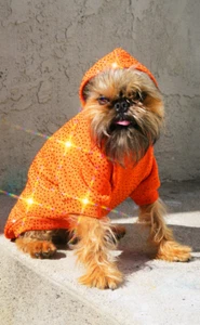 Swarovski Crystal Covered PET HOODIE ( All Sizes / Colors ) xxs - 5xl - Picture 1 of 10