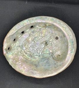 Vintage Giant Red Abalone Shell  7 3/4” x 6 1/2” Weighs 1.25 lbs. - Picture 1 of 11