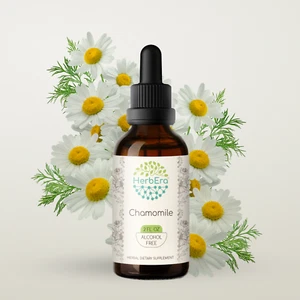 HerbEra Chamomile Alcohol-FREE Tincture Organic (Matricaria Recutita) - Picture 1 of 22