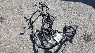 2004 DODGE CARAVAN OEM MOPAR ENGINE WIRING 4868933AA  156222  Foto 1 de 4