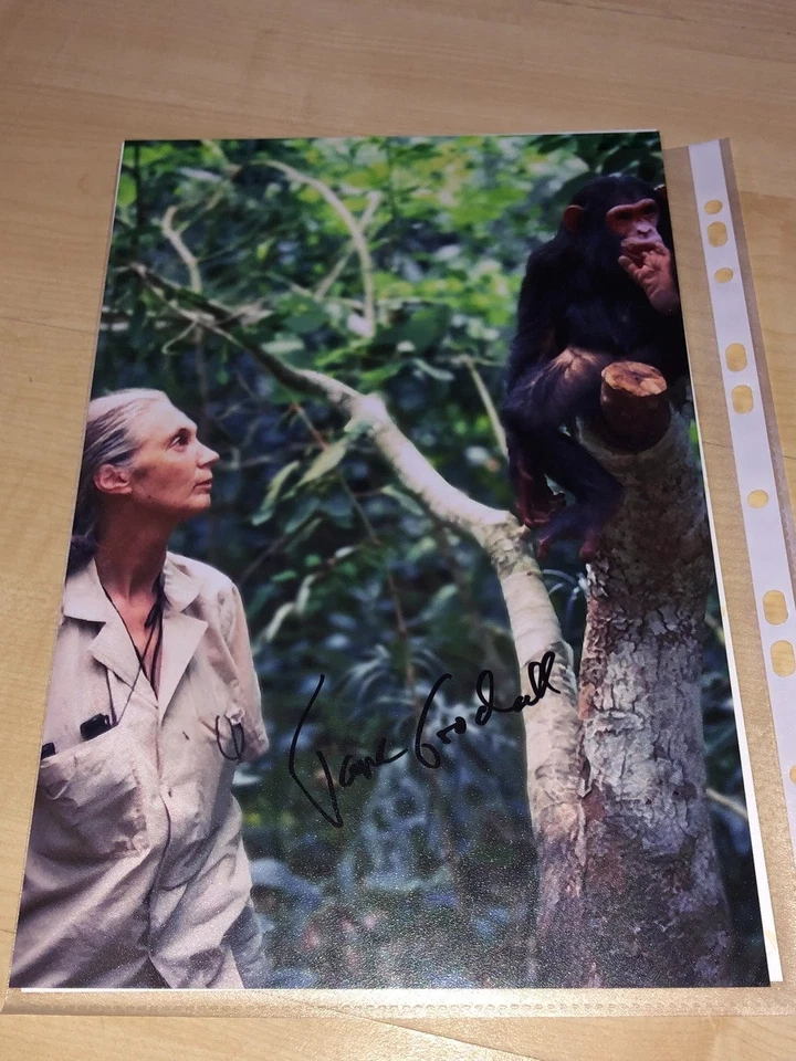 Jane Goodall Signed Autogramm Autograph 20x30cm High Quality Foto - Bild 1 von 1