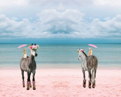 Baumwoll-Jersey Panel Stenzo Pony Strand Meer blau bunt 120 cm x 150cm  - Bild 1 von 2