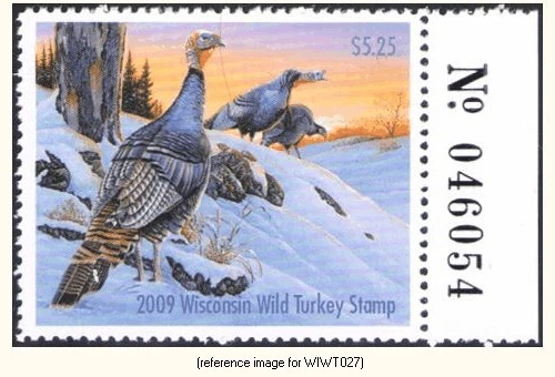 D2K Wisconsin Wild Turkey 2009 $5.25 w/#tab - Image 1 of 1