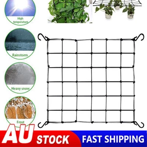 Elastic Scrog Trellis Net w/Hooks Plant Support Netting for Grow Tent 5 Sizes - Picture 1 of 17
