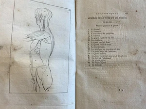 Lavater. élémens anatomiques à l'usage des peintres et sculpteurs. EO 1797 - Picture 1 of 12
