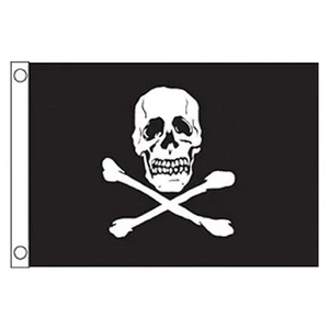 Taylor Made 1818 - Flag - Picture 1 of 1