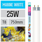 Arcadia Marine White Lampe Aquarium Meerwasser Leuchtstofflampe Neonrhre Licht
