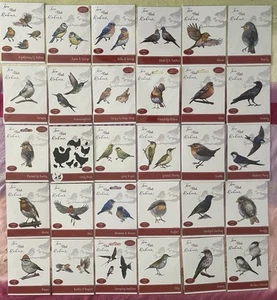 Two Red Robins Metal Dies ~ $17.50each ~ BIRDS ~ Bird Themed ~ Free Downloads - Picture 1 of 11