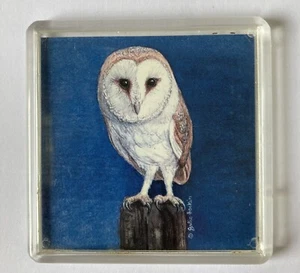 Julie Hockin Barn Owl Collectors’ Fridge Magnet - Picture 1 of 2