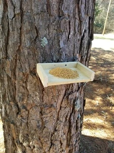 Rustic Wood Birds & Squirrels Feeder - Picture 1 of 9