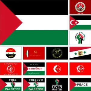 Palästina Flagge Galiläa Streitkräfte Gaza Libera PCP PIJ PLA PSLF PFLP Samidoun Widerstand - Bild 1 von 19